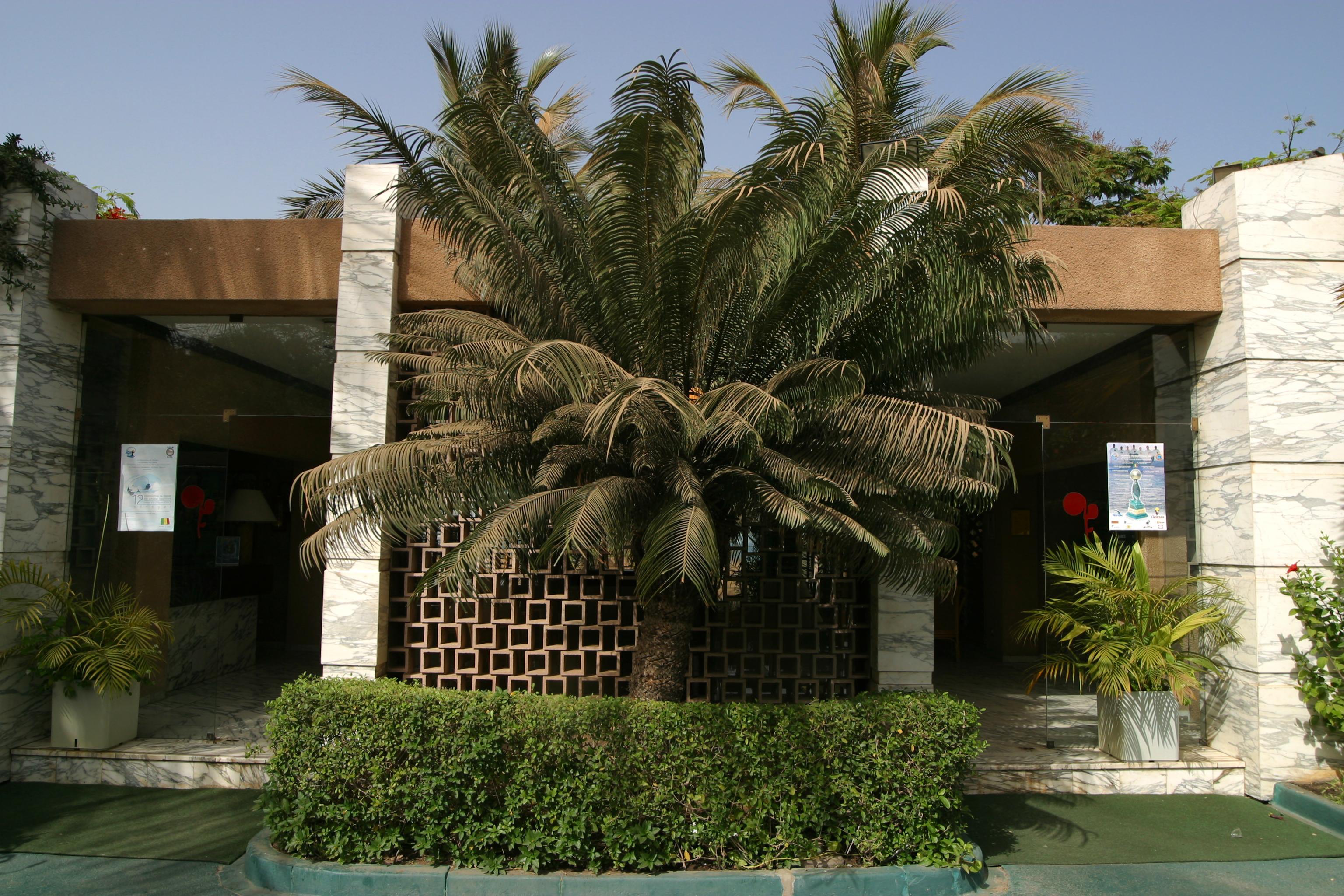 Hotel Jardin Savana Ντακάρ Εξωτερικό φωτογραφία
